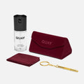 HOLIDAY CLEAN + REPAIR KIT